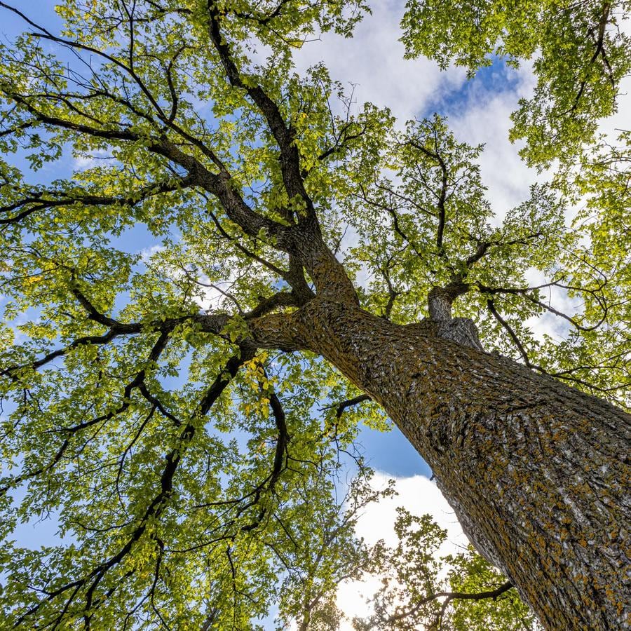 2021_09_08_EOS R_092023001070_EOSR1033.jpg (389 KB)